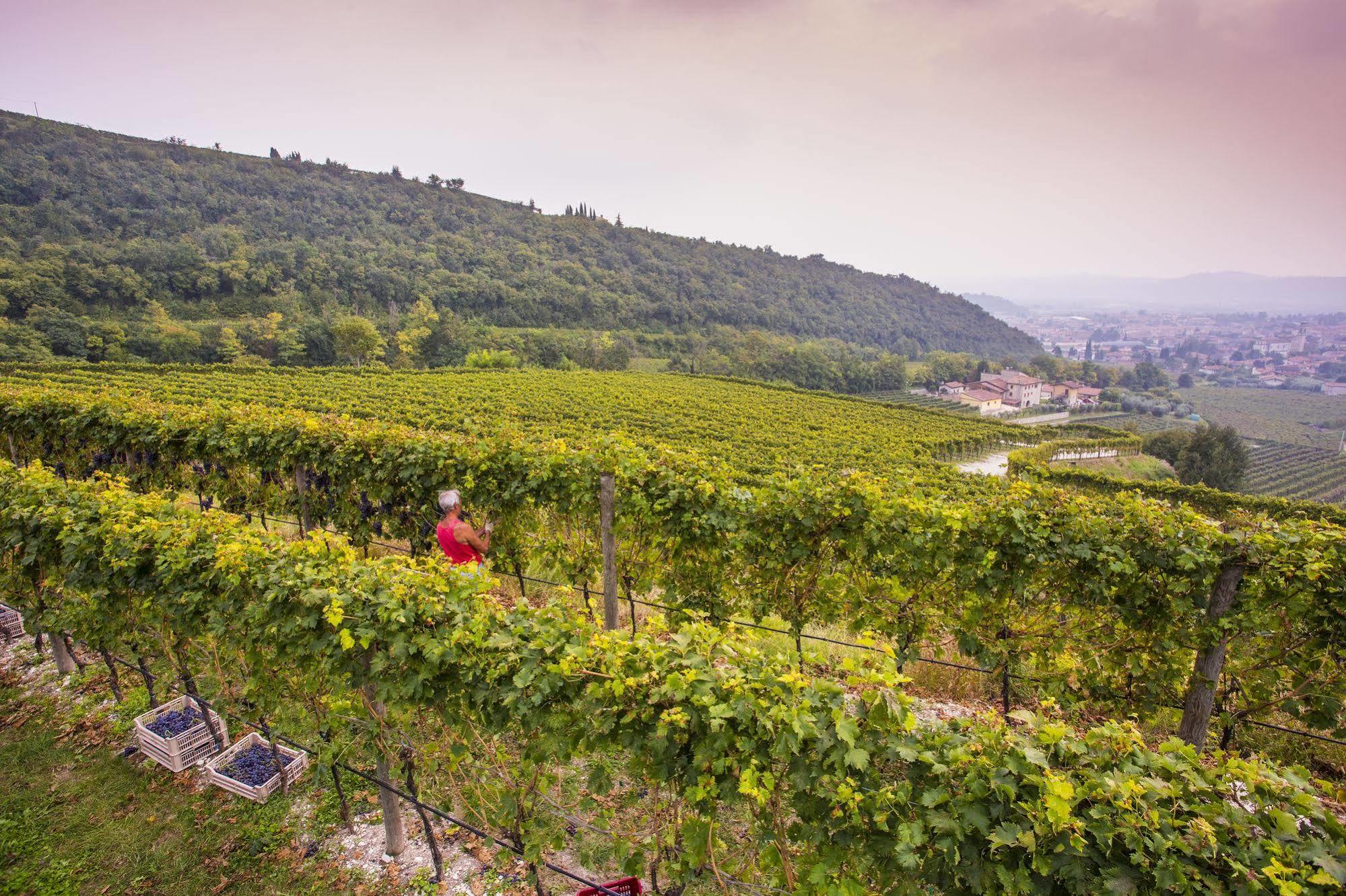 B&B Boutique Osteria Della Pieve SantʼAmbrogio di Valpolicella エクステリア 写真